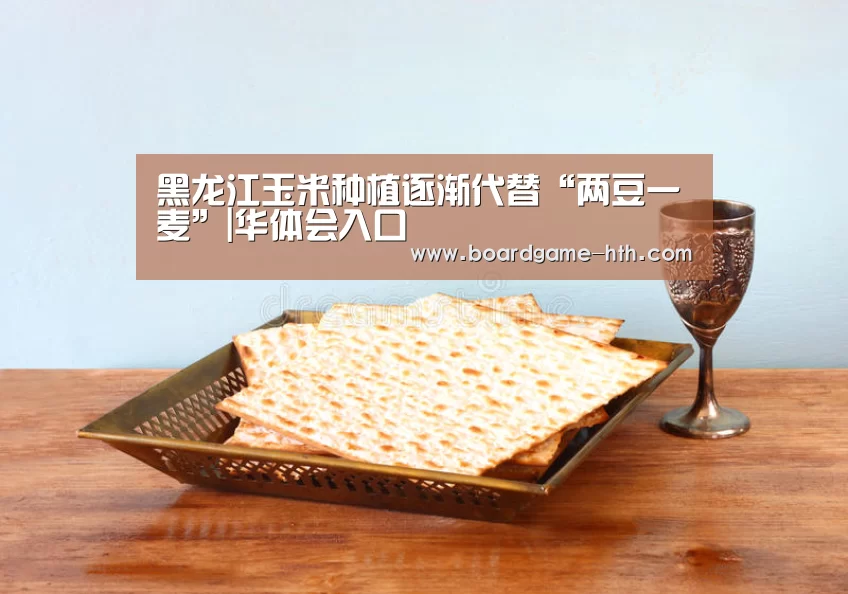 黑龙江玉米种植逐渐代替“两豆一麦”|华体会入口(图2)