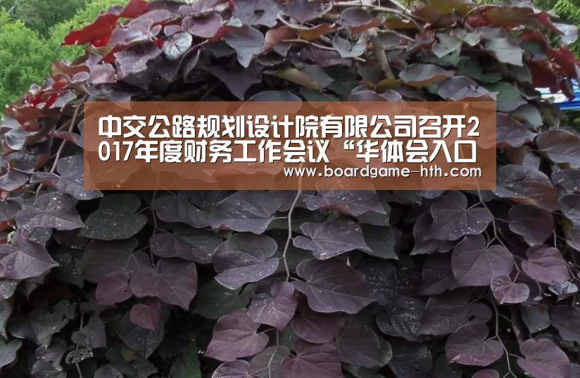 华体会登陆