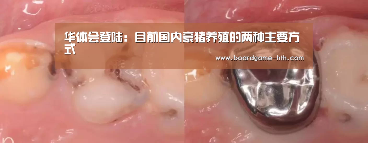 华体会登陆：目前国内豪猪养殖的两种主要方式(图2)