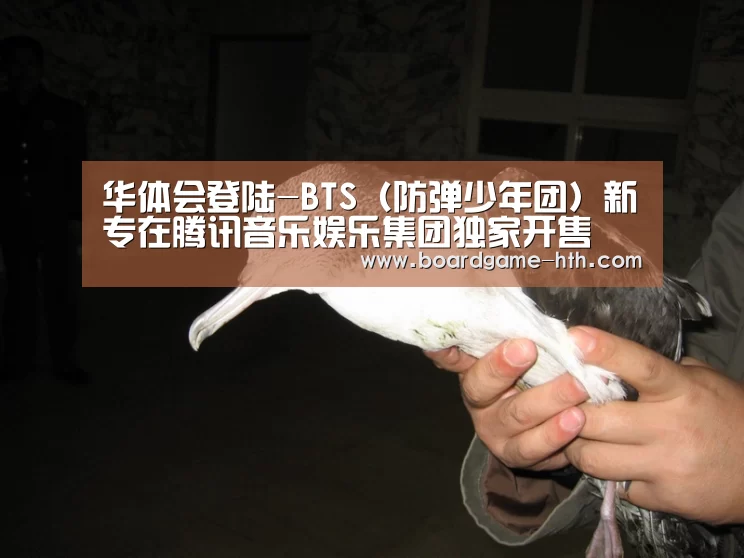 华体会入口